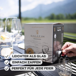 Bag-In-Box Merlot Collio 5 Liter