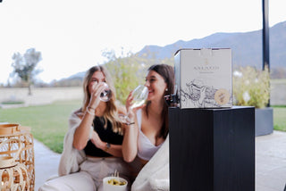 Bag-In-Box Pinot 5 Liter