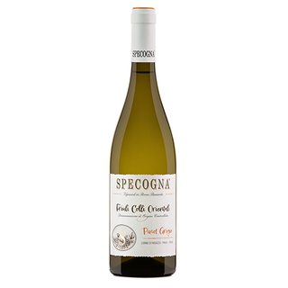 Pinot Grigio Ramato DOC Friuli Colli Orientali 13 % Specogna