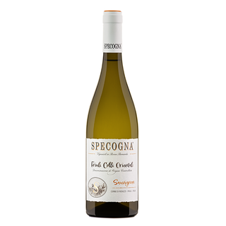Sauvignon DOC Friuli Colli Orientali 13 % Specogna